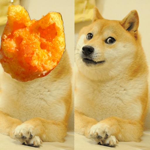 Doge Cheeto side by side with the original Doge